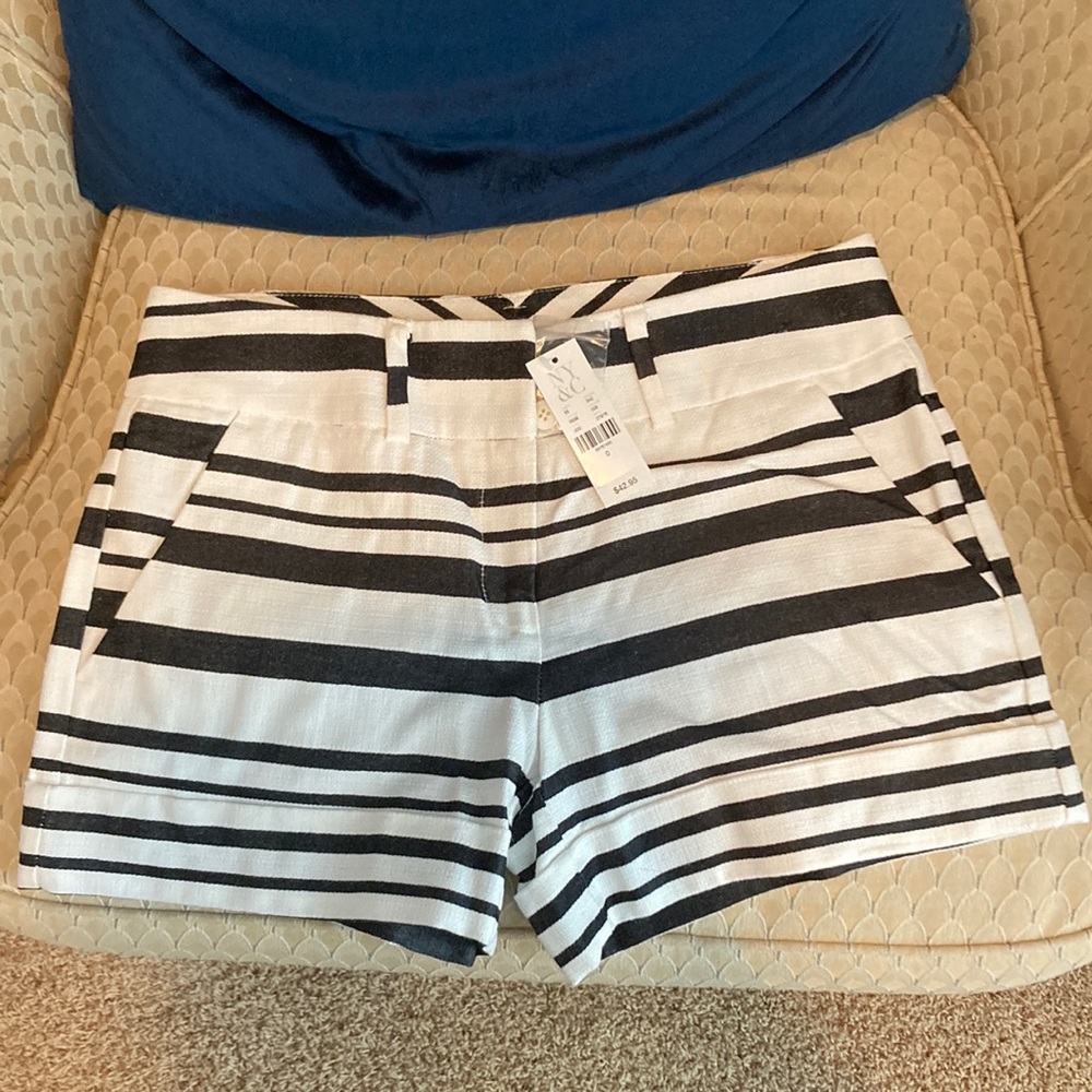 NWT New York & Company Shorts